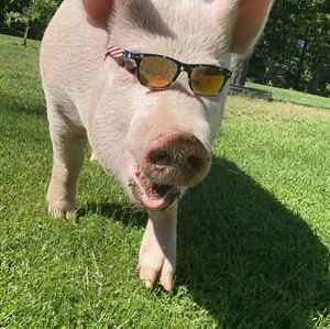 Meet your Posher, Nicole